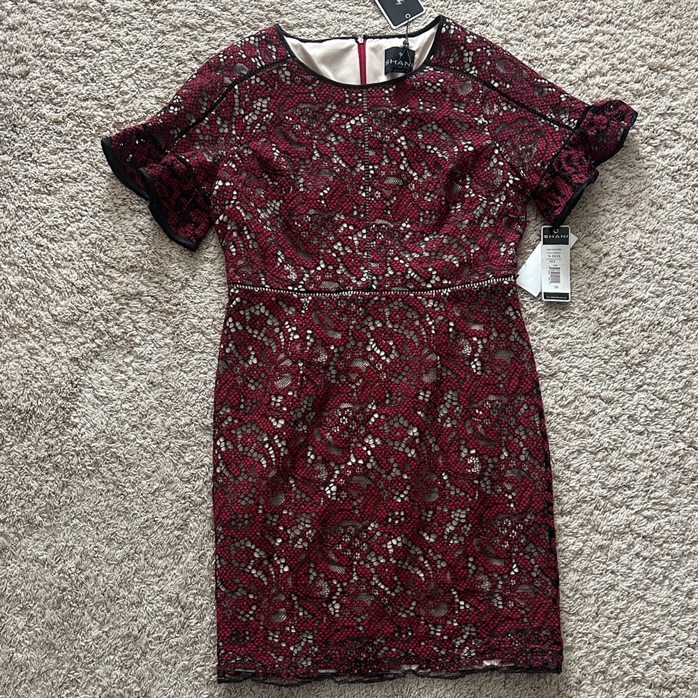Shani Saks Black Red Lace Dress Sz 10 **Retail $384**